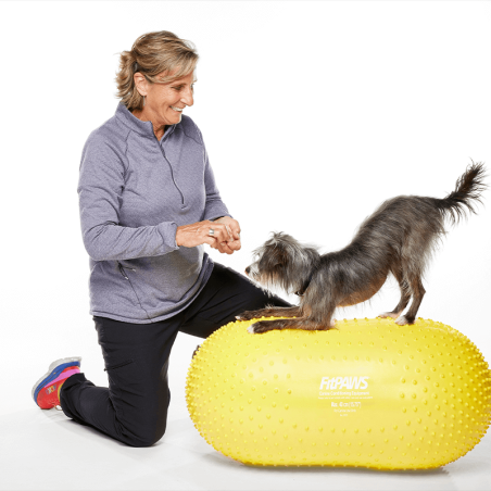 Ballon cacahuète de rééducation et proprioception pour chiens