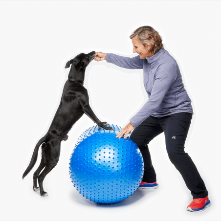 Ballon cacahuète de rééducation et proprioception pour chiens