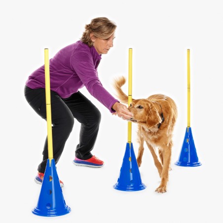 kit cavaletti Fitpaws pour chien, rééducation ou agility