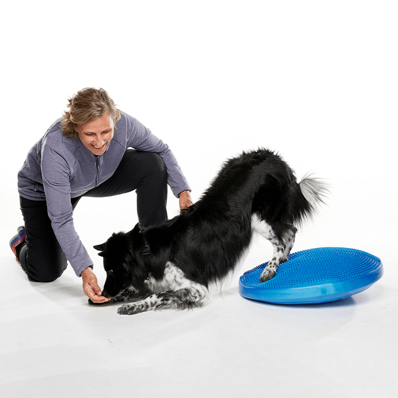 Disque d'équilibre FitPAWS Disque d'équilibre FitPAWS