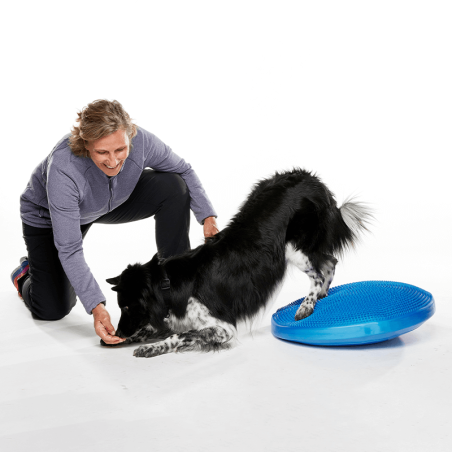 disque d'équilibre et de proprioception  pour la rééducation pour chien fitpaws