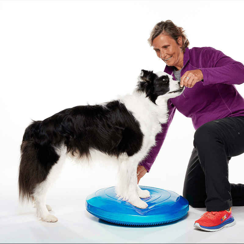 Disque d'équilibre FitPAWS Disque d'équilibre FitPAWS