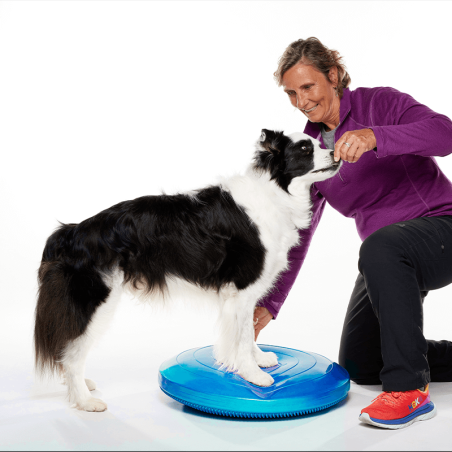 disque d'équilibre et de proprioception  pour la rééducation pour chien fitpaws