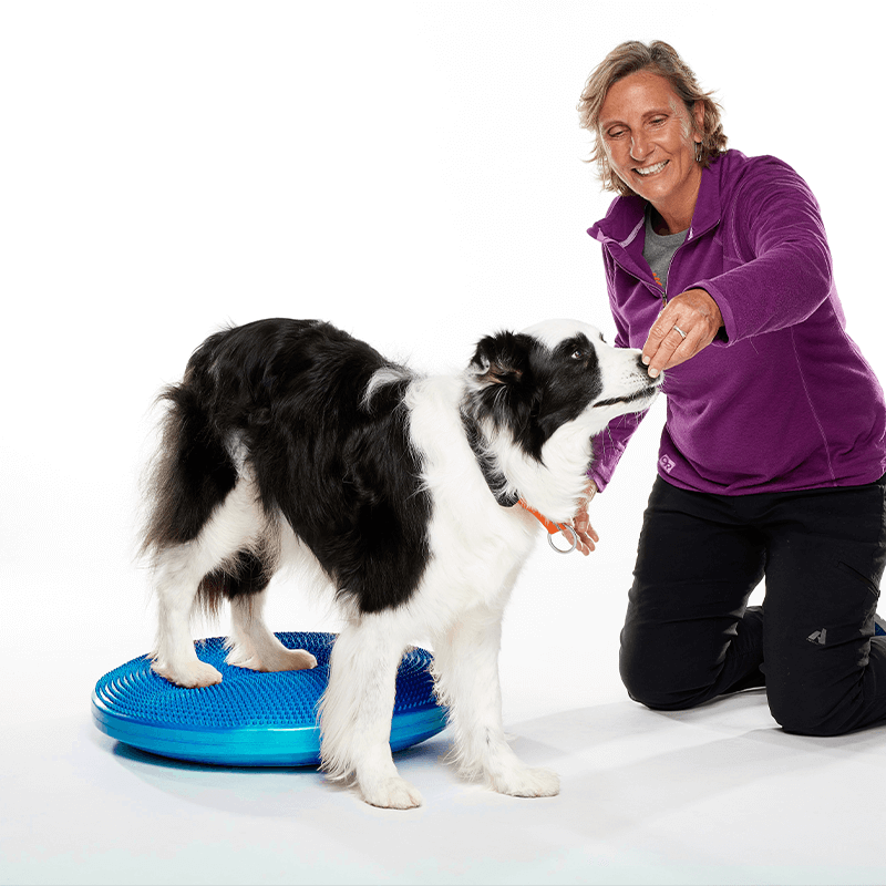 Disque d'équilibre FitPAWS Disque d'équilibre FitPAWS