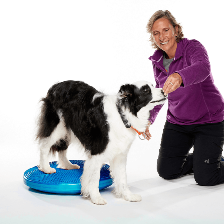 disque d'équilibre et de proprioception  pour la rééducation pour chien fitpaws