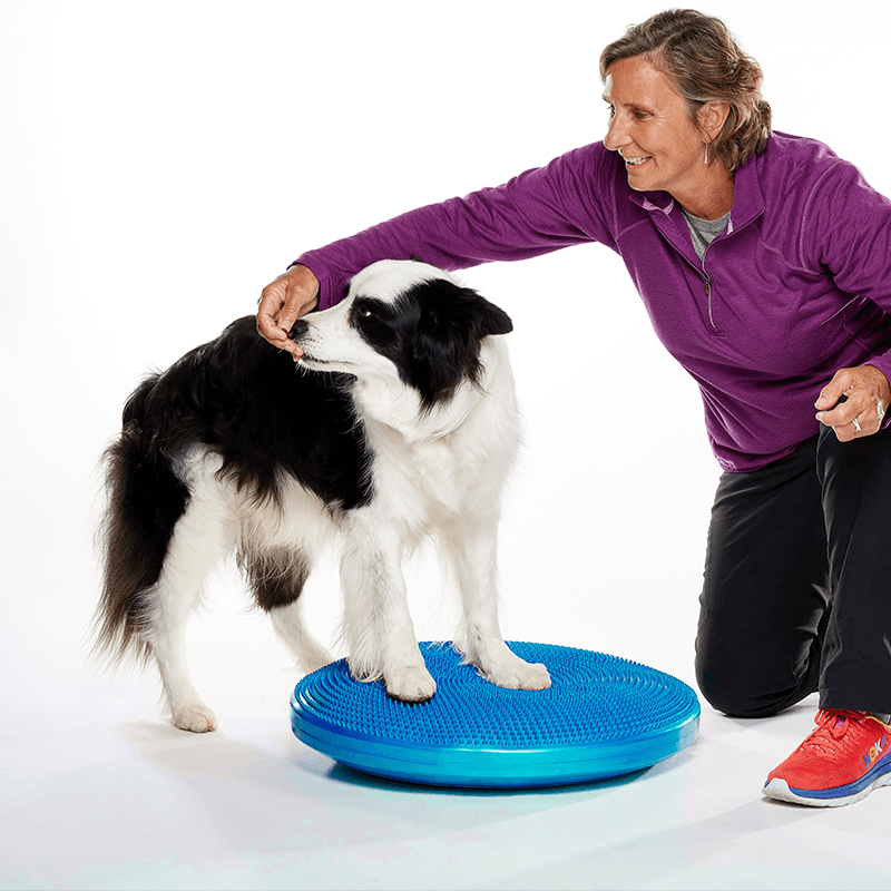 Disque d'équilibre FitPAWS Disque d'équilibre FitPAWS