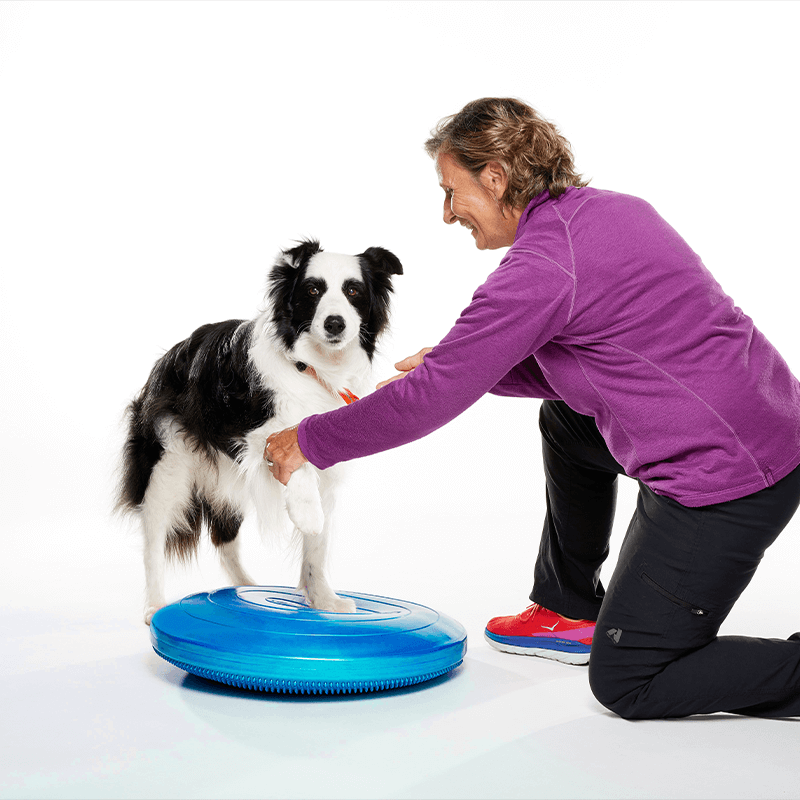 Disque d'équilibre FitPAWS Disque d'équilibre FitPAWS