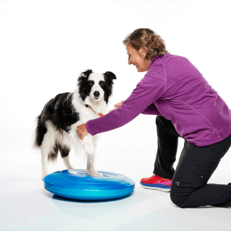 disque d'équilibre et de proprioception  pour la rééducation pour chien fitpaws