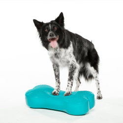 Coussin d'équilibre K9FITbone pour rééducation chien