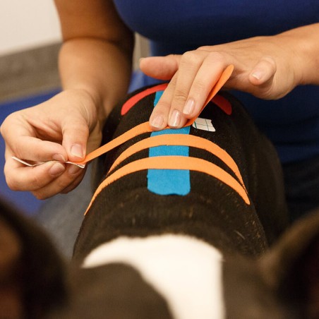 Bande kinesio taping VETKIN Tape pour animaux