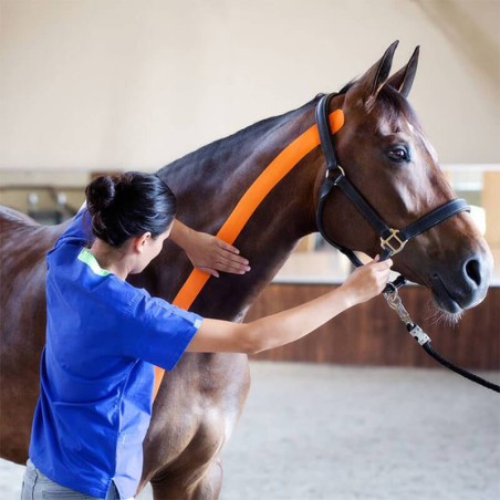 Bande kinesio taping VETKIN Tape pour animaux