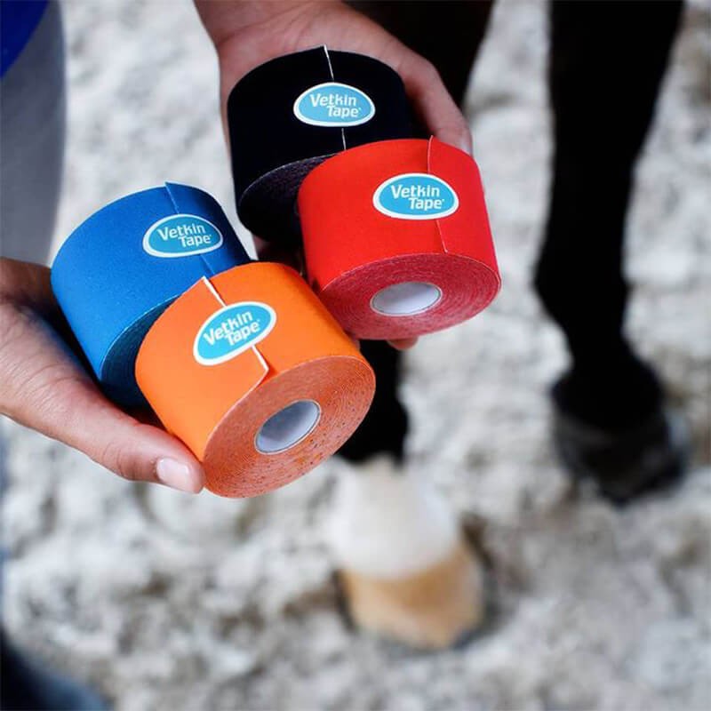 Bande Kinesio Taping VetkinTape® pour chevaux et chiens Bande Kinesio Taping VetkinTape® pour chevaux et chiens