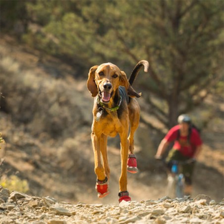 Bottines chaussures protection chien Ruffwear mikan