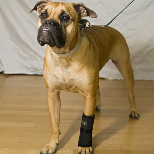 2 Manchons De Protection Pour Pattes Avant De Chien – Taille L, Réglables, Pour Callosités Et Entorses