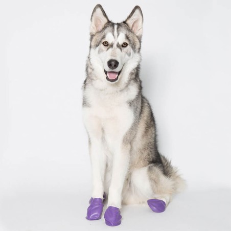 chaussures pour chien pawz