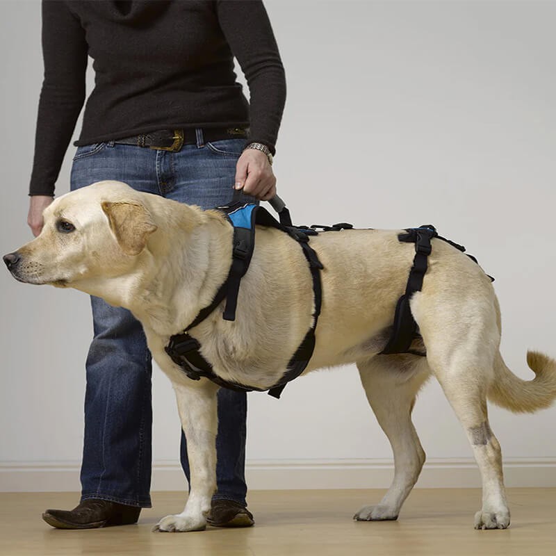 Harnais de portage résistant et ajustable pour tout le corps du chien help em up par mikan