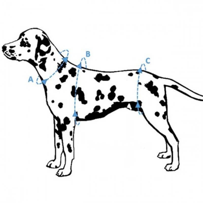 Harnais de portage résistant et ajustable pour tout le corps du chien help em up par mikan