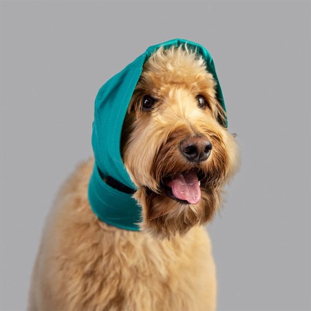 Snood pour protection des oreilles chien Mikan