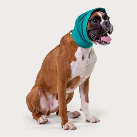 Snood pour protection des oreilles chien Mikan