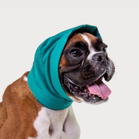 Snood pour protection des oreilles chien Mikan