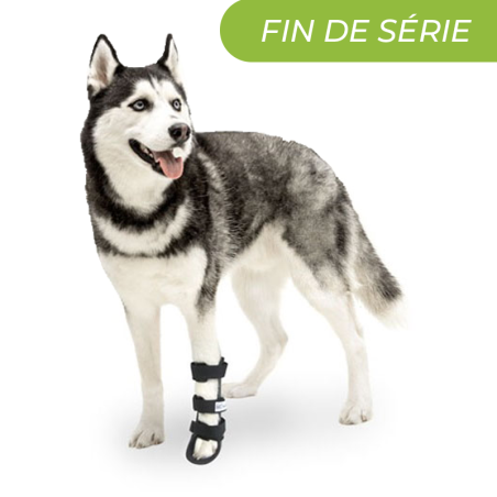 Attelle rigide walkin wheels – patte avant chien et chat