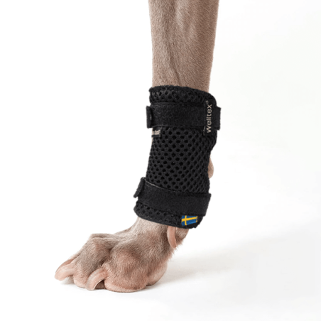 Thermo Carpe : attelle thermique patte avant BACK ON TRACK