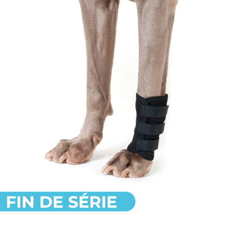 Thermo Carpe : attelle patte avant BACK ON TRACK