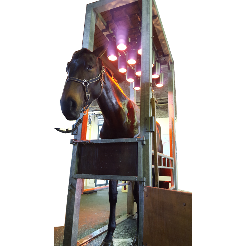 Solarium infrarouge MIKAN pour chevaux