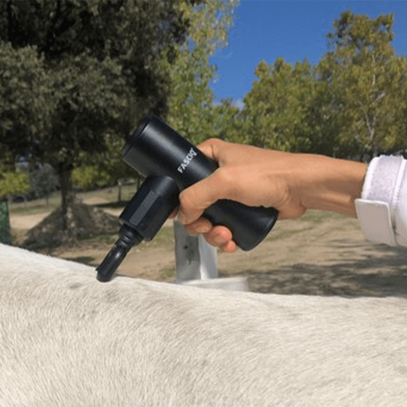 Mini pistolet de massage vétérinaire FASCIQ® - rééducation - décontraction musculaire - récupération.