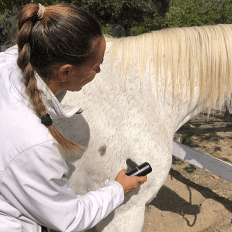 Mini pistolet de massage vétérinaire FASCIQ® - rééducation - décontraction musculaire - récupération.