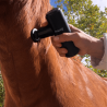 Mini pistolet de massage vétérinaire FASCIQ® - rééducation - décontraction musculaire - récupération.