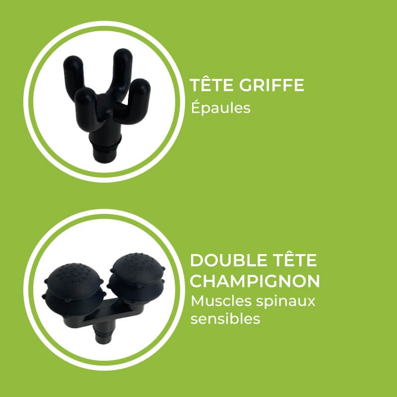 Têtes de massage pour animaux Fasciq®