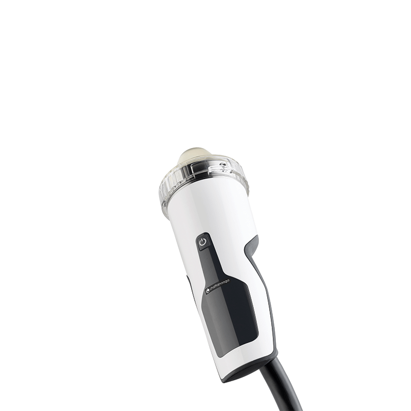 Onde de choc focalisée intelect pour vétérinaire