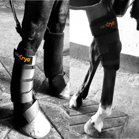 Cryothérapie compressive dynamique portative à cryopad Mikan