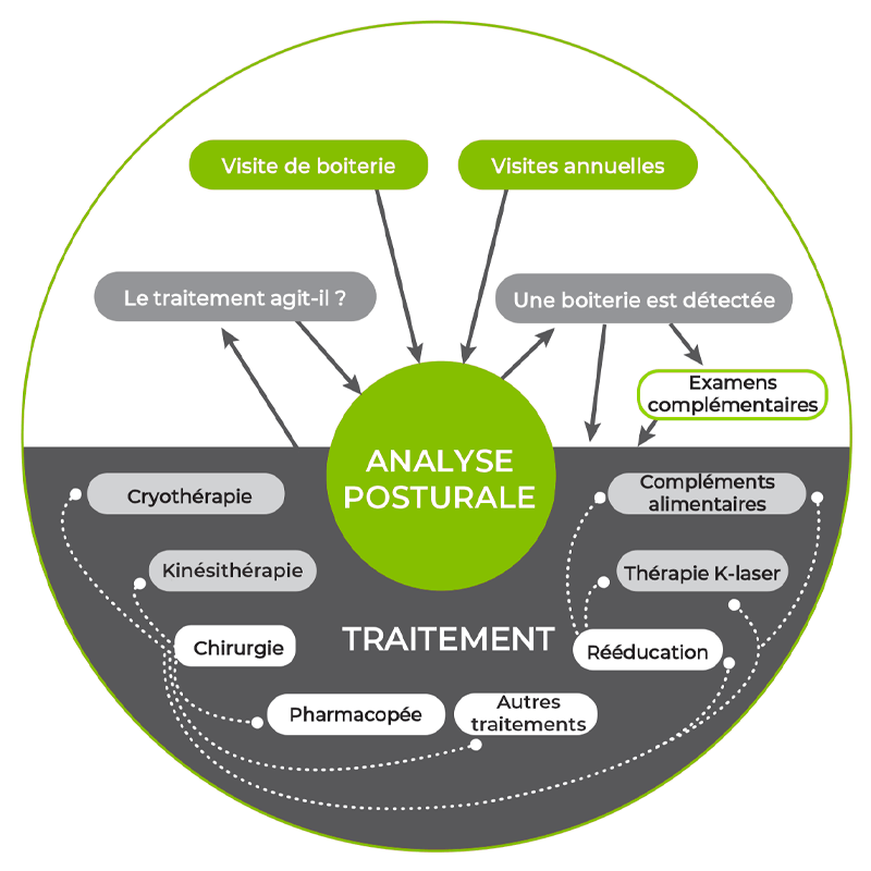 plateforme d'analyse posturale