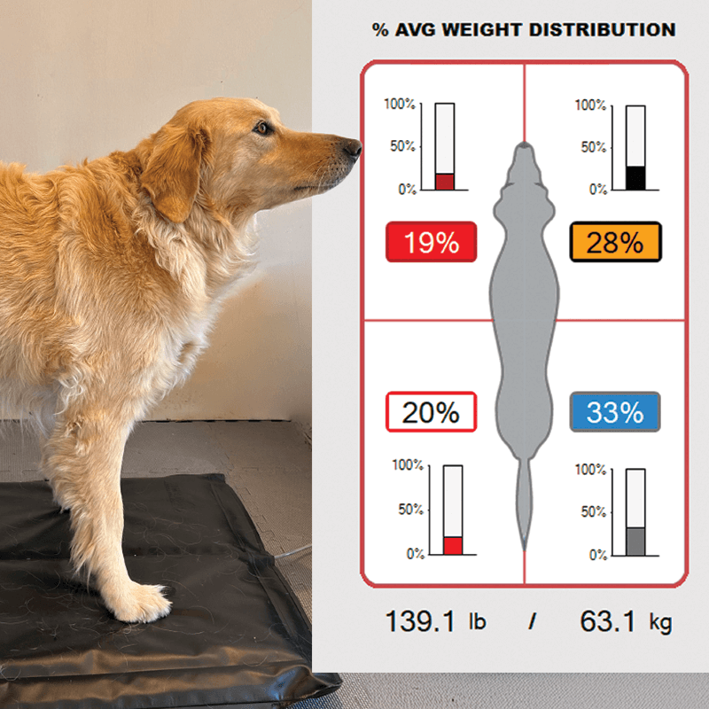 analyseur postural stance analyser