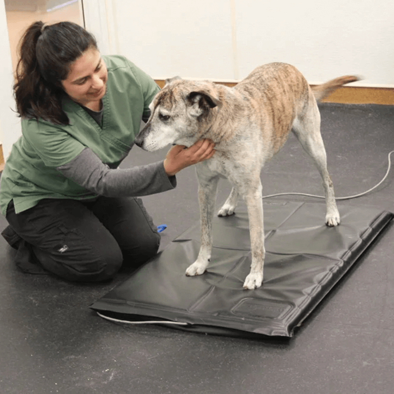 analyseur postural stance analyser