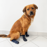 chaussettes fines hydrophobe d'intérieur pour animaux