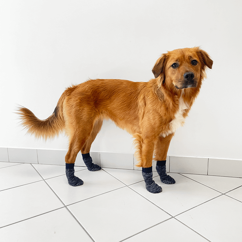 chaussettes fines hydrophobe d'intérieur pour animaux