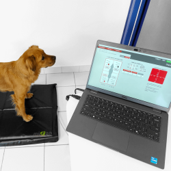 Système d'analyse posturale pour animaux Mikan