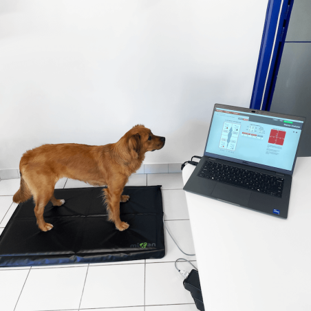 Système d'analyse posturale pour animaux Mikan