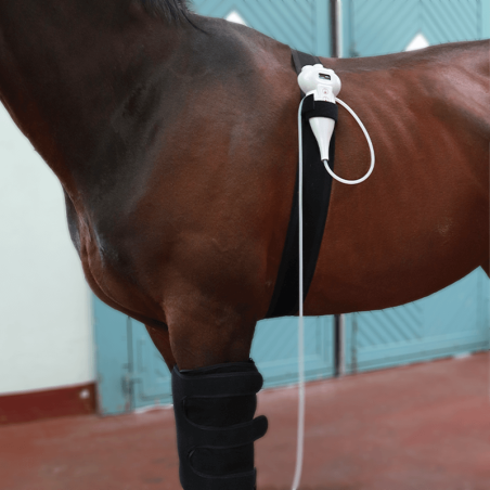 Cryothérapie compressive dynamique portative à cryopad Mikan