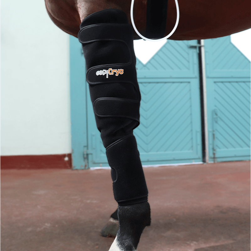 Cryothérapie compressive dynamique portative à cryopad Mikan