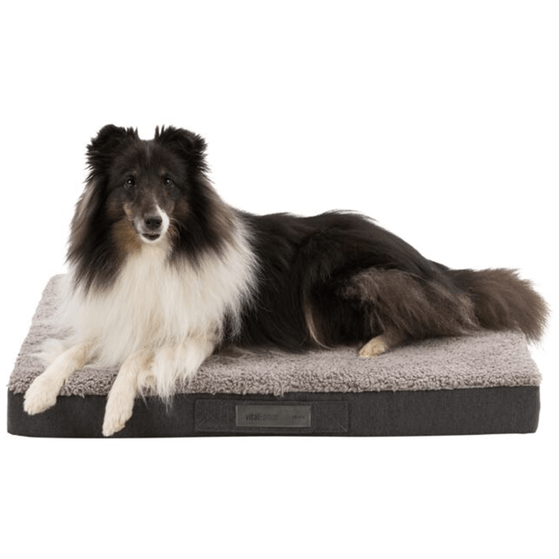 Matelas à mémoire de forme chien et chat