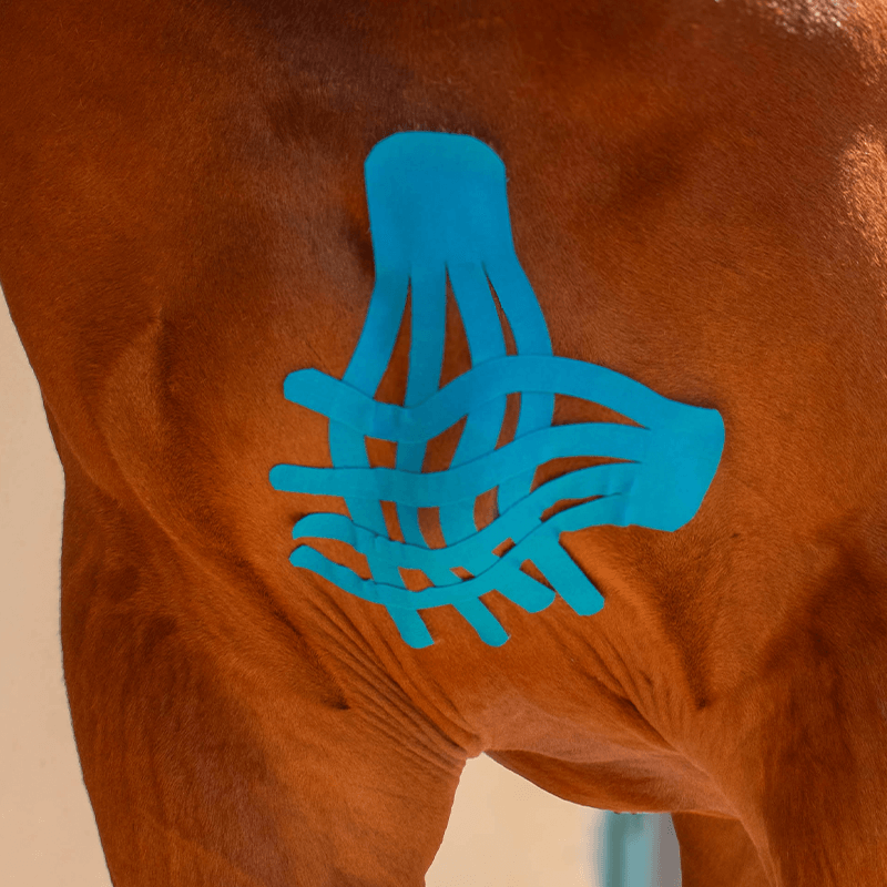 Coupe-bande de kinésio-taping Coupe-bande de kinésio-taping