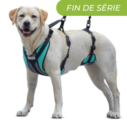 Harnais total Walkin Pets pour chien handicapé Mikan