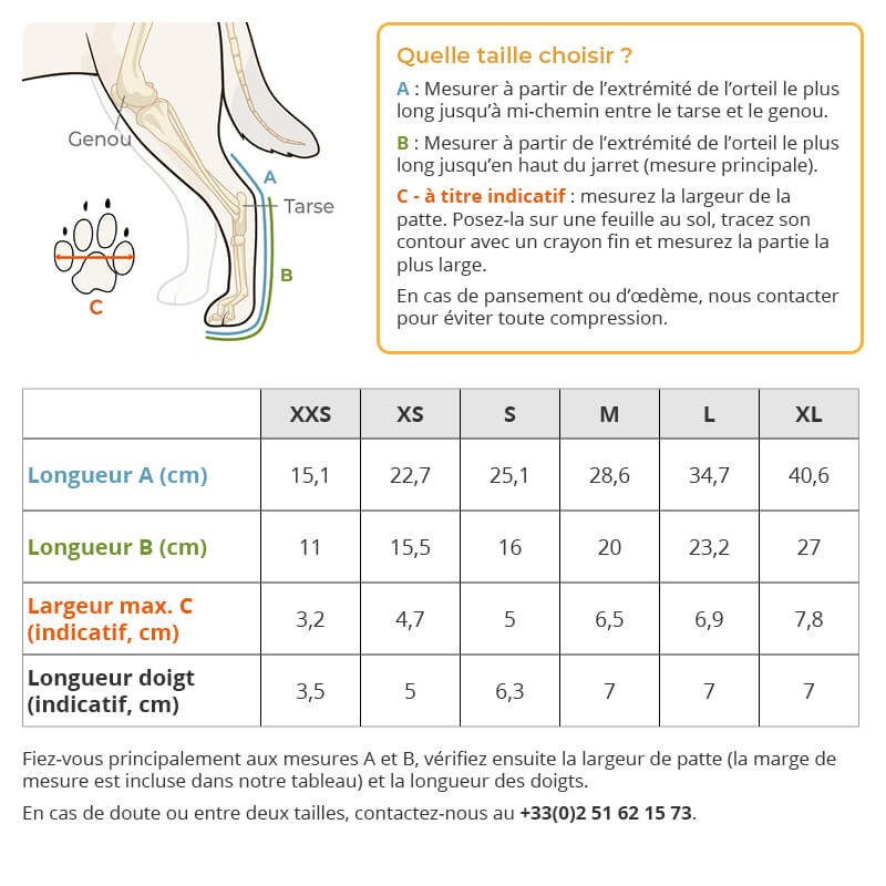 guide des tailles attelle rigide patte arrière pour chien mikan