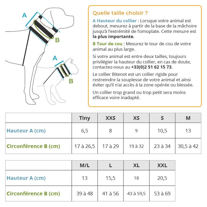 Collier BITENOT - Accessoire pour chien et chat Collier BITENOT - Accessoire pour chien et chat