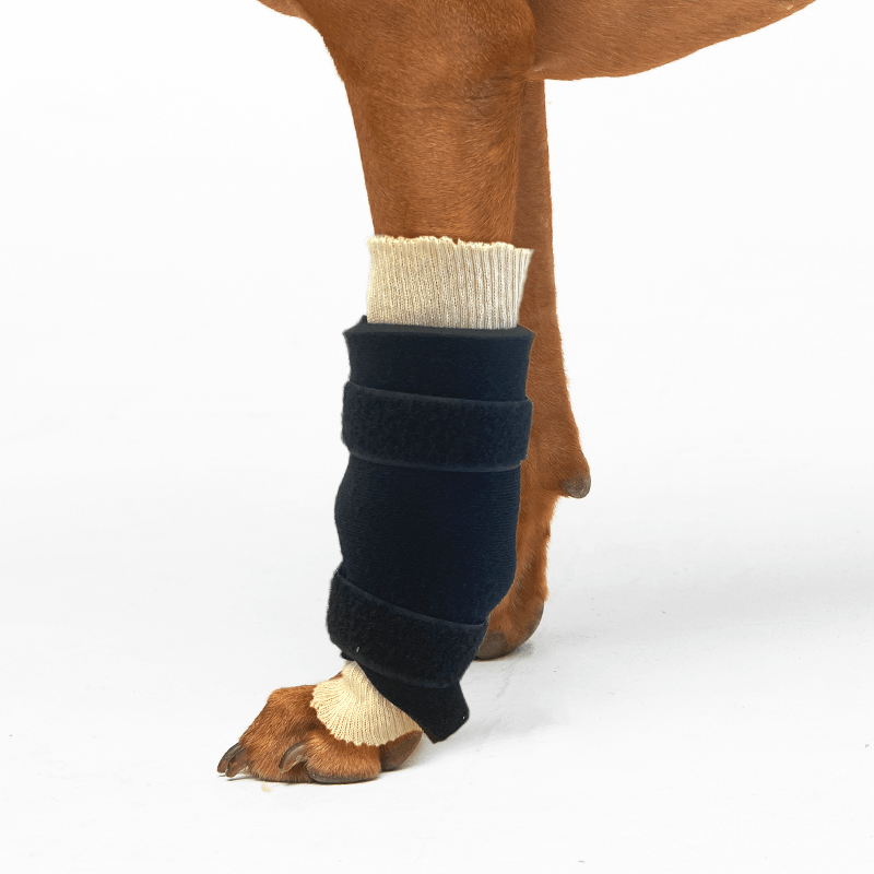 Kit attelles sur mesure mikan carpe souple