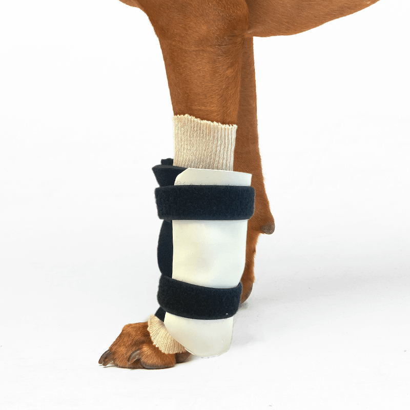 Kit attelles sur mesure mikan carpe rigide